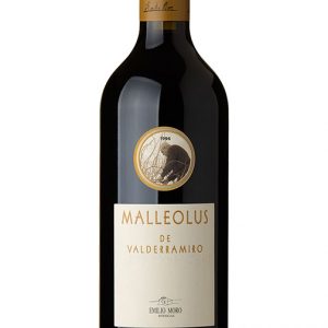 Malleolus de Valderramiro