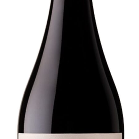 Finca El Regollar 2019